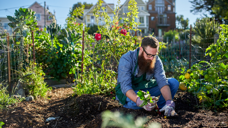 urban-garden-img